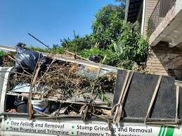 Best Shed Removal  in Morrisville, VT